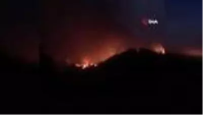 Son dakika haberi: Adana'nın Pozantı ilçesindeki orman yangını devam ediyor Son dakika haberi: Adana'nın Pozantı ilçesindeki orman yangını devam ediyor