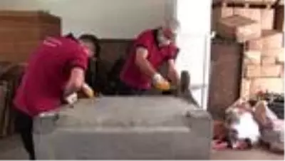 Son dakika haberi | Altınordu Belediyesi, konteynır tamiri ile yıllık 100 bin lira tasarruf sağlıyor Son dakika haberi | Altınordu Belediyesi, konteynır tamiri ile yıllık 100 bin lira tasarruf sağlıyor