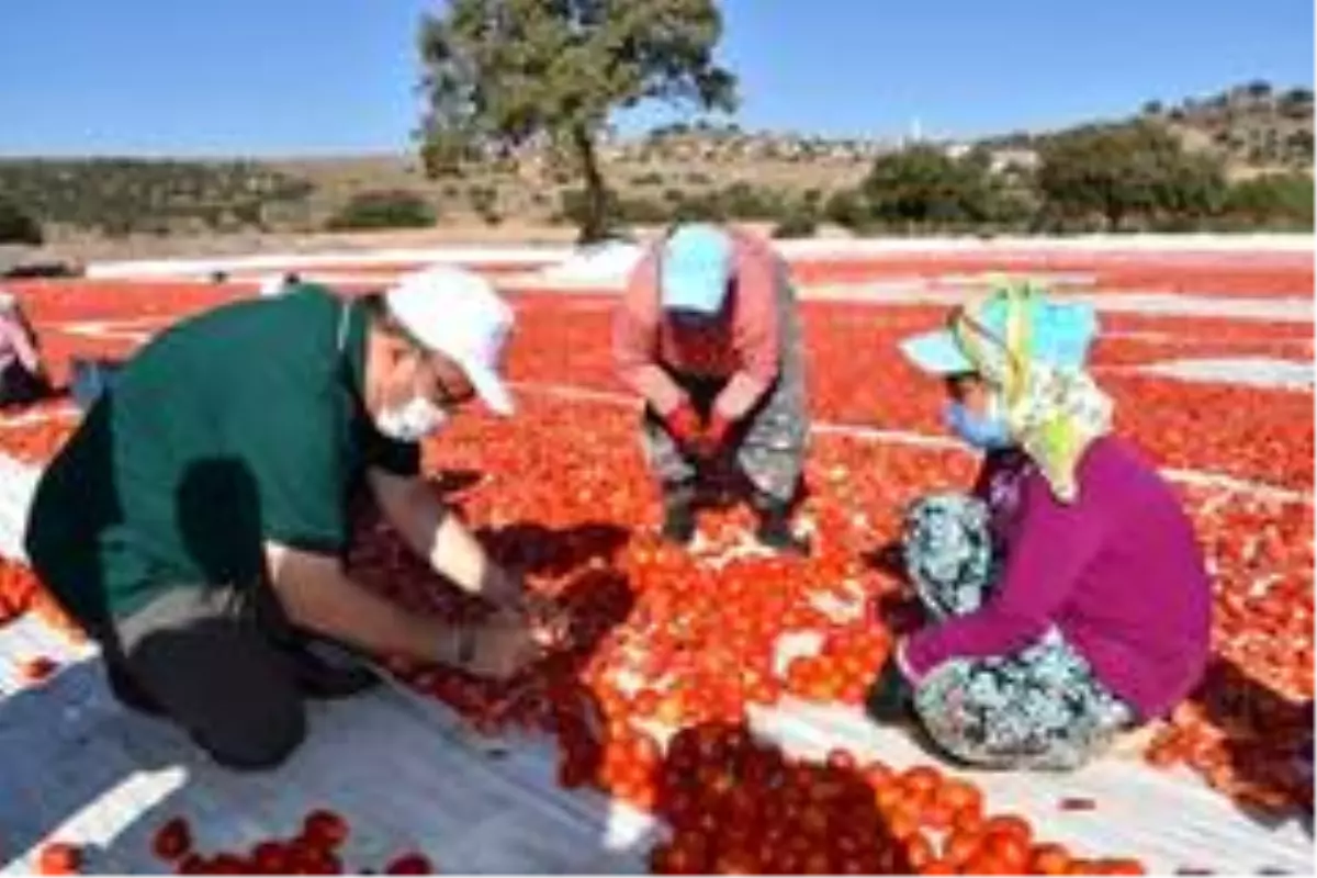 Başkan Çerçi Pelitalan'da üreticileri dinledi