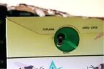 Bombus arıları kullanılarak yetiştirilen domateslerin tanesi 1 kilo geliyor Bombus arıları kullanılarak yetiştirilen domateslerin tanesi 1 kilo geliyor