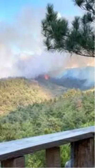Son Dakika Haberi Bursa Da Orman Yangini Ankara