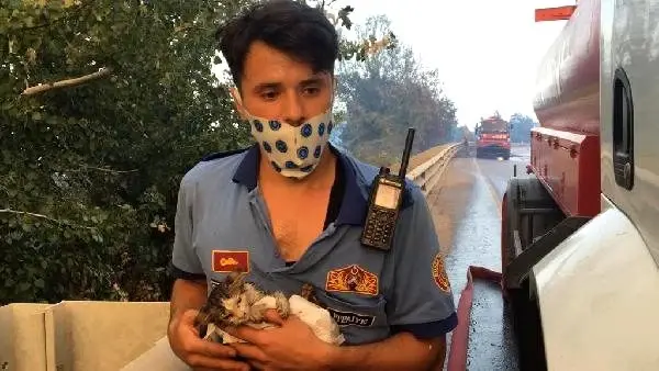 Son dakika haber! Bursa'da, ormanlık alanda yangın (2 ...
