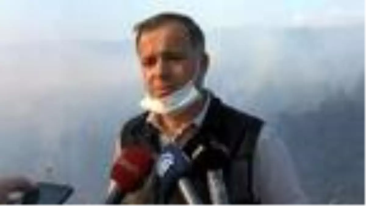 Son Dakika: Bursa'da, ormanlık alanda yangın (3)