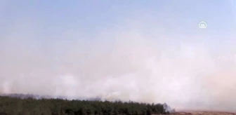 Son dakika... Çanakkale'nin iki ilçesinde orman yangını (3)