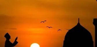 bulbul haberleri bulbul haber haberler