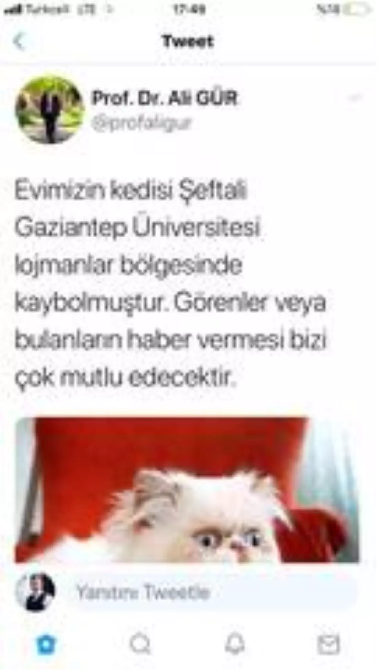 GAÜN Rektörü Gür Kedileri Şeftali'yi arıyor