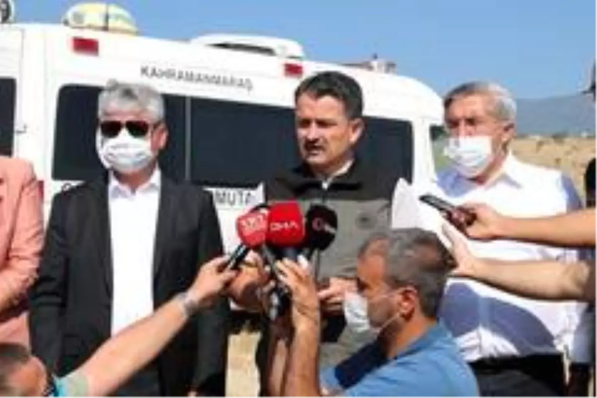 Hatay'daki orman yangını 93 saat sonra kontrol altına ...