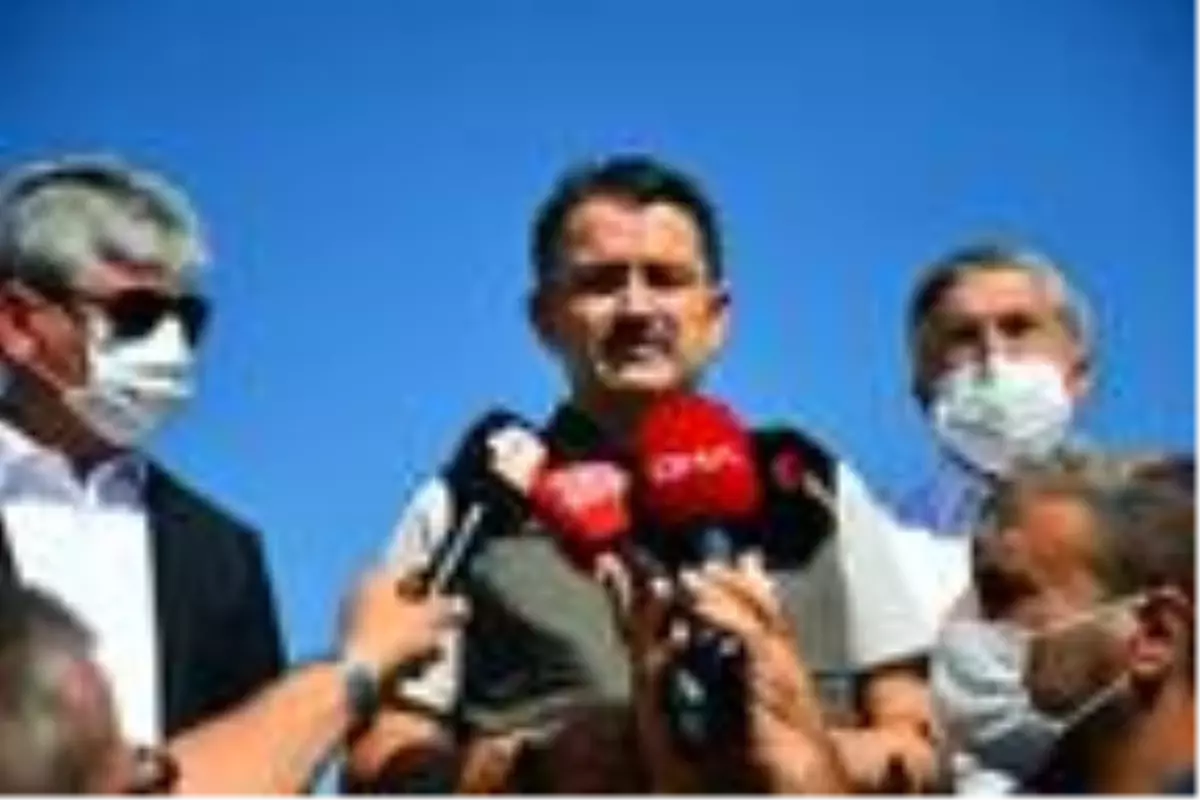 Son dakika haberi | Hatay'daki orman yangını, 93 saat sonra kontrol altına alındı