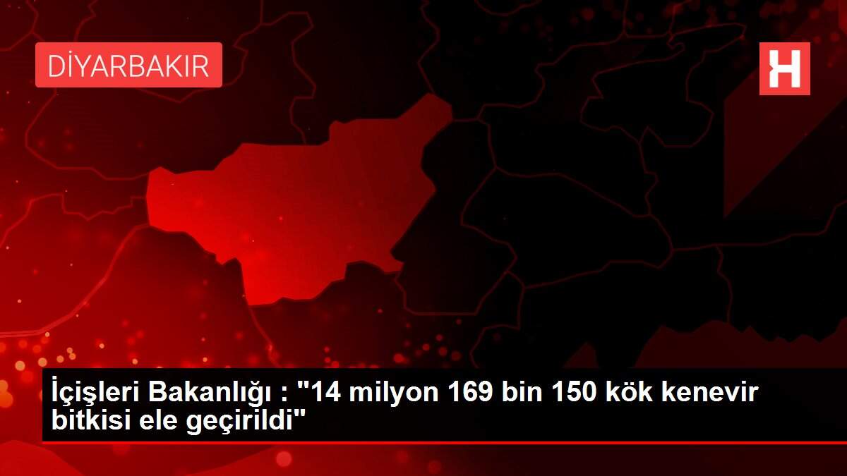 İçişleri Bakanlığı : '14 milyon 169 bin 150 kök kenevir bitkisi ele geçirildi'