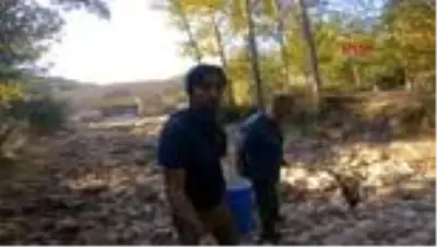 KARABÜK Kanyondaki derede kuruyan yavru balıkları kurtardılar KARABÜK Kanyondaki derede kuruyan yavru balıkları kurtardılar