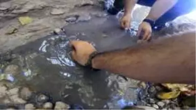 Kuruma noktasına gelen kanyondaki dereden yavru balıkları böyle kurtardılar Kuruma noktasına gelen kanyondaki dereden yavru balıkları böyle kurtardılar