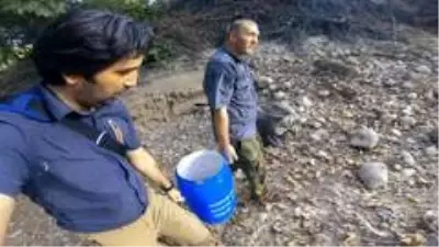 Kuruma noktasına gelen kanyondaki dereden yavru balıkları böyle kurtardılar Kuruma noktasına gelen kanyondaki dereden yavru balıkları böyle kurtardılar