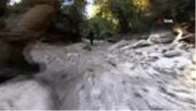 Kuruyan derede yavru balıklar için seferber oldular Kuruyan derede yavru balıklar için seferber oldular