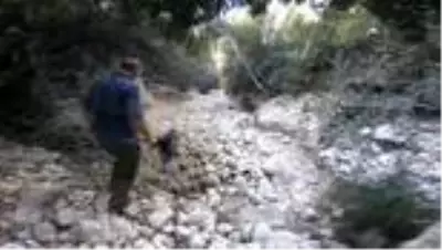 Kuruyan deredeki balık yavruları için seferber oldular Kuruyan deredeki balık yavruları için seferber oldular