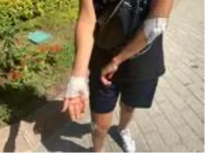 Başıboş köpekler işe giden genç kadını parçalıyordu! Saldırı anı kamerada Başıboş köpekler işe giden genç kadını parçalıyordu! Saldırı anı kamerada