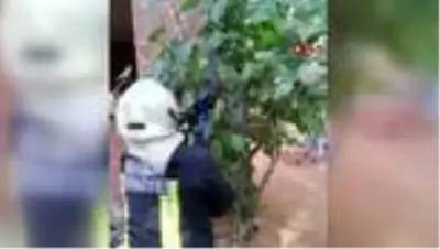Son dakika haberleri... MUĞLA Evin bahçesine giren yılanı itfaiye ekipleri çıkardı Son dakika haberleri... MUĞLA Evin bahçesine giren yılanı itfaiye ekipleri çıkardı