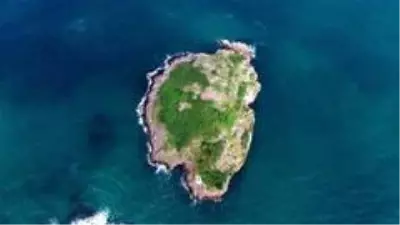 Ordu'nun kuş cenneti: 'Hoynat Adası' Ordu'nun kuş cenneti: 'Hoynat Adası'
