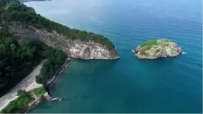 Ordu'nun kuş cenneti: 'Hoynat Adası' Ordu'nun kuş cenneti: 'Hoynat Adası'