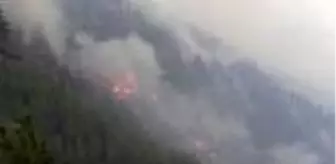 Pozanti Da Orman Yangini 4 Haberler
