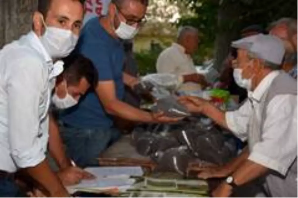 Üreticilere ücretsiz tohum dağıtıldı