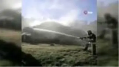 Van'da ot yangını Van'da ot yangını
