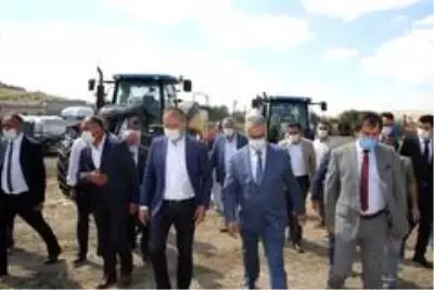 Çorum'a düve merkezi kurulacak Çorum'a düve merkezi kurulacak