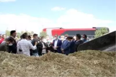 Çorum'a düve merkezi kurulacak Çorum'a düve merkezi kurulacak