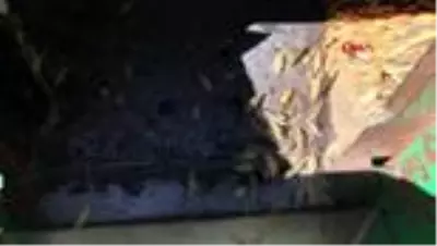 Kars'ın 'Ata Tohumları' yaygınlaştırılıyor Kars'ın 'Ata Tohumları' yaygınlaştırılıyor