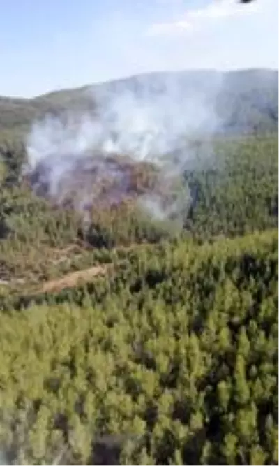 Son dakika haber: Kavaklıdere yangınına takviye helikopter ve uçak sevk edildi Son dakika haber: Kavaklıdere yangınına takviye helikopter ve uçak sevk edildi