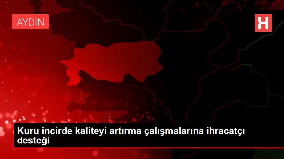 Kuru incirde kaliteyi artırma çalışmalarına ihracatçı desteği