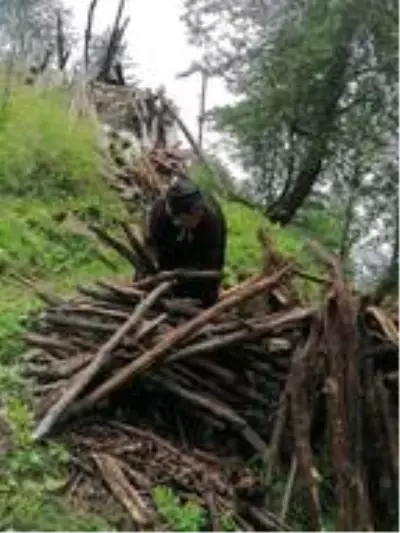 Köyüne küsüp, yaylaya taşınan Robinson Nine'nin hayatı belgesel oluyor Köyüne küsüp, yaylaya taşınan Robinson Nine'nin hayatı belgesel oluyor