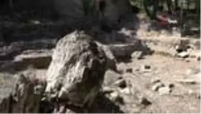 Avcılar'da Vikingler'in izlerine rastlandı Avcılar'da Vikingler'in izlerine rastlandı