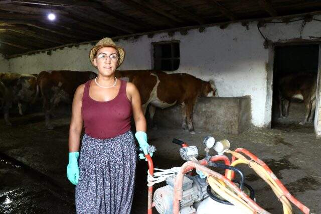 Babasının mirası inekler için 15 yıllık turizm kariyerinden vazgeçti