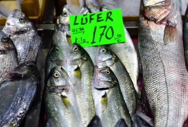 'Denizlerin prensi' lüfer, kilogramı 170 liradan tezgahlarda yerini almaya başladı