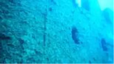 Saros'daki 'su altı müzesi' dalgıçların ilgi odağı oldu Saros'daki 'su altı müzesi' dalgıçların ilgi odağı oldu