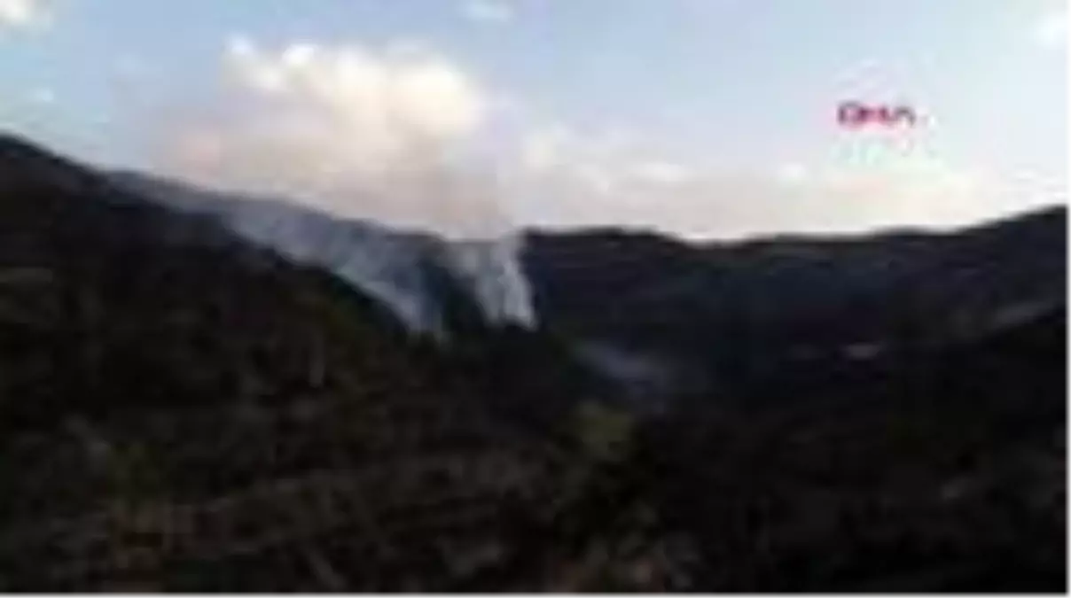 DÜZİÇİ'NDE ORMAN YANGINI