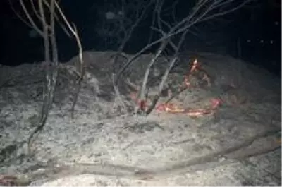 Gece yarısı korkutan yangın: 500 dönüm anız alev alev yandı Gece yarısı korkutan yangın: 500 dönüm anız alev alev yandı