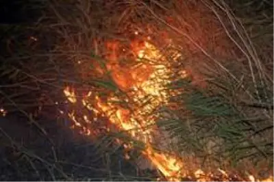 Gece yarısı korkutan yangın: 500 dönüm anız alev alev yandı Gece yarısı korkutan yangın: 500 dönüm anız alev alev yandı