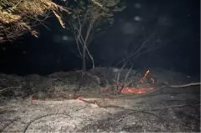 Gece yarısı korkutan yangın: 500 dönüm anız alev alev yandı Gece yarısı korkutan yangın: 500 dönüm anız alev alev yandı