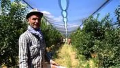 Konyalı çiftçinin ürettiği elmalar henüz dalından toplanmadan 20 ülkeye satılıyor Konyalı çiftçinin ürettiği elmalar henüz dalından toplanmadan 20 ülkeye satılıyor