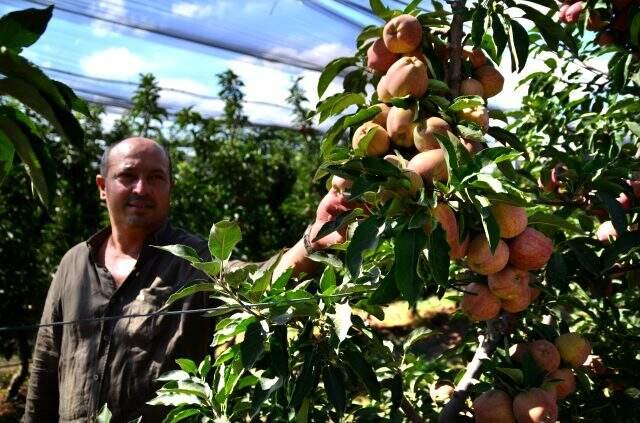Konyalı çiftçinin ürettiği elmalar henüz dalından toplanmadan 20 ülkeye satılıyor Konyalı çiftçinin ürettiği elmalar henüz dalından toplanmadan 20 ülkeye satılıyor