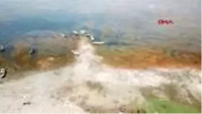 MANİSA Marmara Gölü'nde su 500 metre çekildi, derinlik 1 metreye düştü