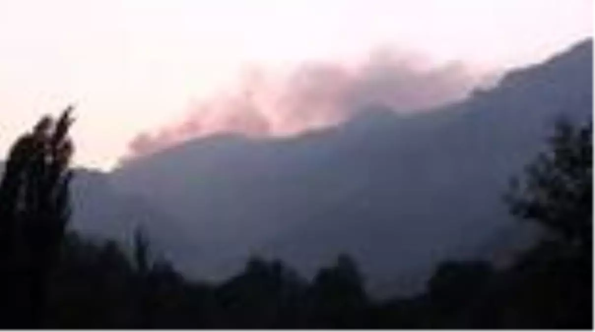 Pozantı'daki orman yangınına havadan müdahaleye ara verildi