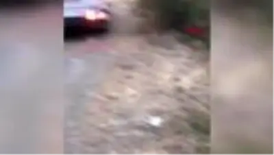 Baraj gölüne uçan araçtaki 4 kişiyi balıkçılar kurtardı Baraj gölüne uçan araçtaki 4 kişiyi balıkçılar kurtardı