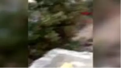 Baraj gölüne uçan araçtaki 4 kişiyi balıkçılar kurtardı Baraj gölüne uçan araçtaki 4 kişiyi balıkçılar kurtardı
