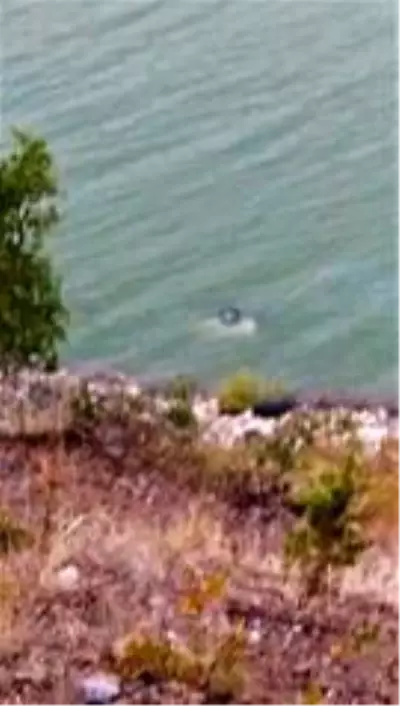 Son dakika... Otomobil baraj gölüne uçtu: 4 yaralı Son dakika... Otomobil baraj gölüne uçtu: 4 yaralı