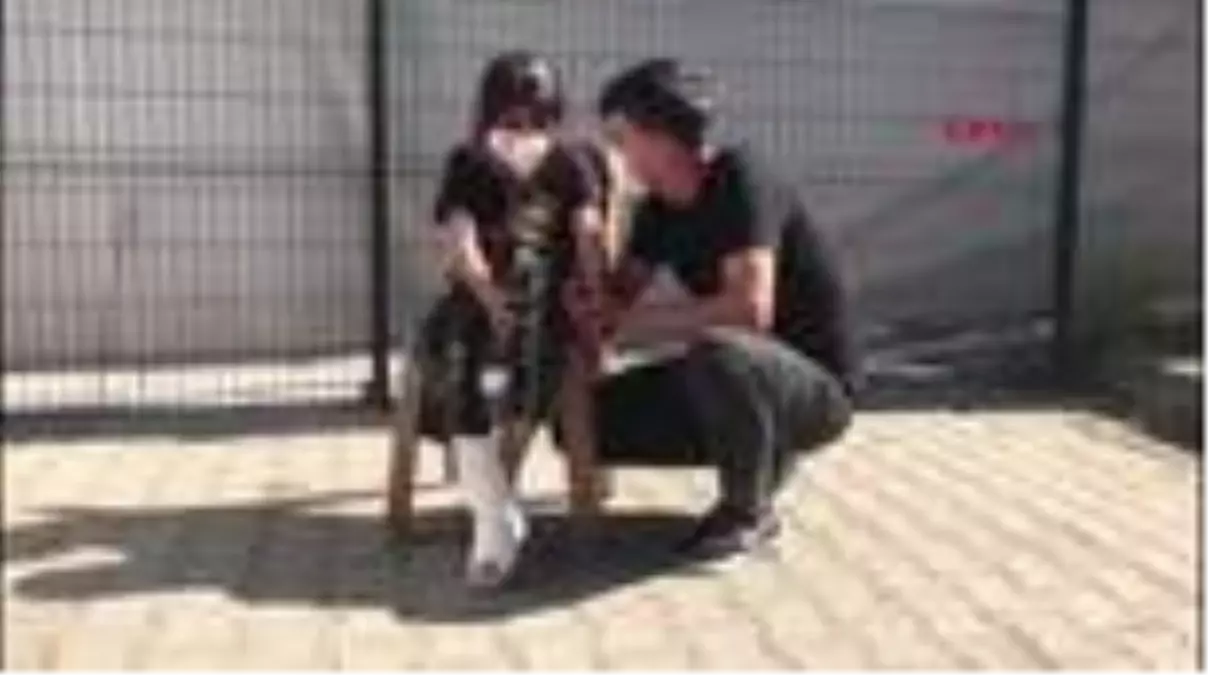 EDİRNE Yunan askeri, 8 yaşındaki Suriyeli Gazin'i plastik mermiyle vurdu