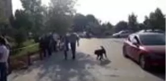 Balıkesir Üniversitesi: Kimliğini unutan öğrencinin imdadına jandarma yetişti - BALIKESİR Balıkesir Üniversitesi: Kimliğini unutan öğrencinin imdadına jandarma yetişti - BALIKESİR