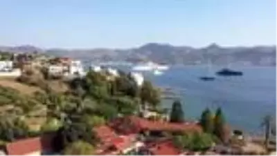 Mavi suların 'milyon dolarlık misafirleri' Bodrum koylarını mesken tuttu - MUĞLA Mavi suların 'milyon dolarlık misafirleri' Bodrum koylarını mesken tuttu - MUĞLA