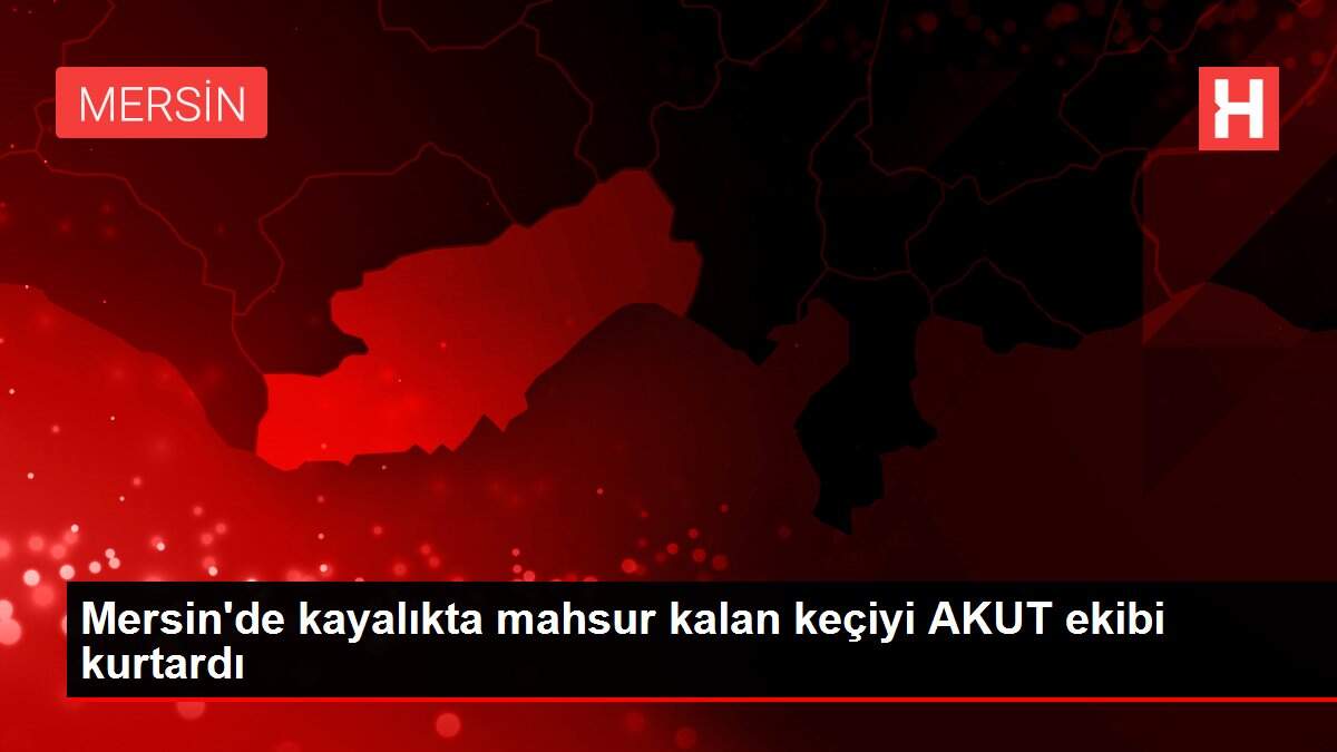 Mersin'de kayalıkta mahsur kalan keçiyi AKUT ekibi kurtardı